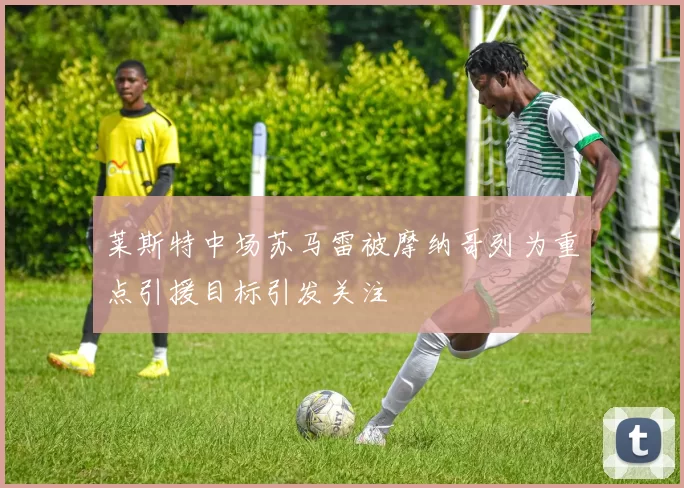 莱斯特中场苏马雷被摩纳哥列为重点引援目标引发关注